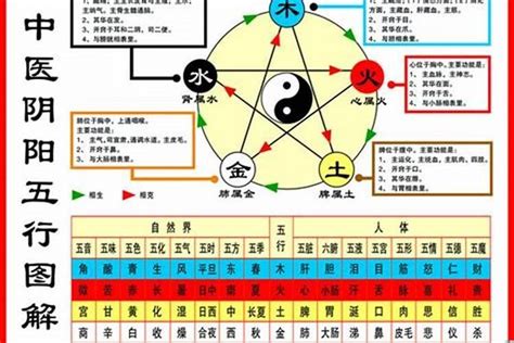 1984年五行|1984年属鼠五行属什么，84年属鼠人一生运势